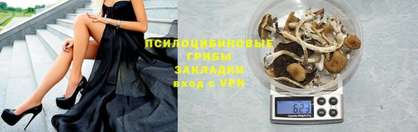 гидра Баксан