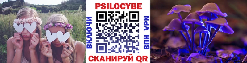 Галлюциногенные грибы прущие грибы Усолье-Сибирское